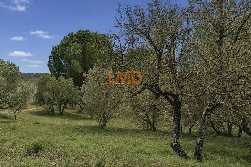 Vente Terrain Le Val: terrain constructible de 3600m2 environ Le val