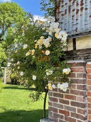  Maison � vendre 15 + pi�ces 250 m�