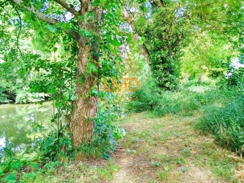 Vente Terrain Terrain naturel 5 297 m² à Martizay – 2 €/m² – Idéal loisirs & n Martizay