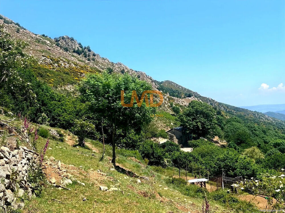 Propriété 54 hectares, rare en Ardèche