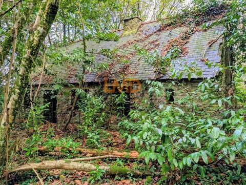   Maison en pierre dans un bois Maison - 2 pi�ce(s) - 60 m�