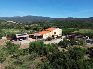 Vente Maison Mas en pleine nature Vinça