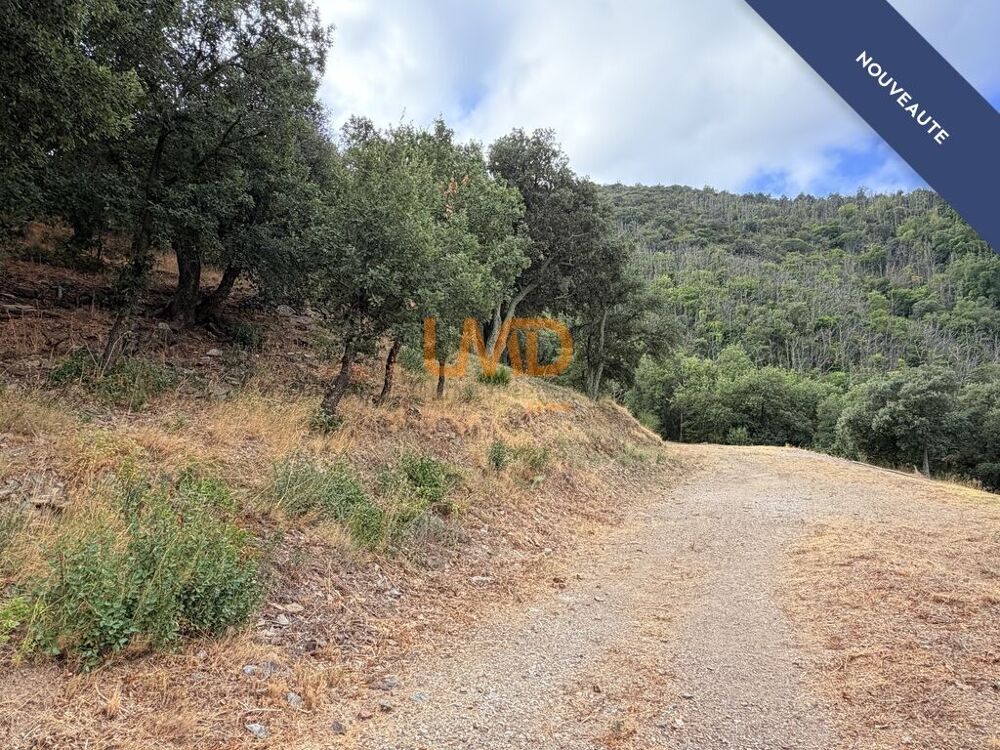 à vendre  Maison Saint-Michel-de-Llotes (66130)