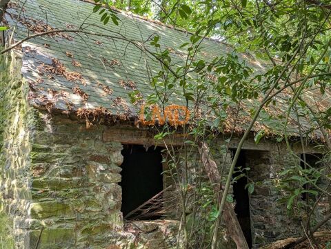   Maison en pierre dans un bois Maison - 2 pi�ce(s) - 60 m�