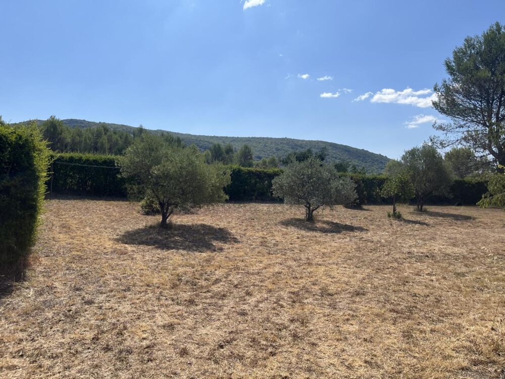Vente Terrain Terrain constructible Ste Croix de Quintillargues 34270 Sainte-croix-de-quintillargues