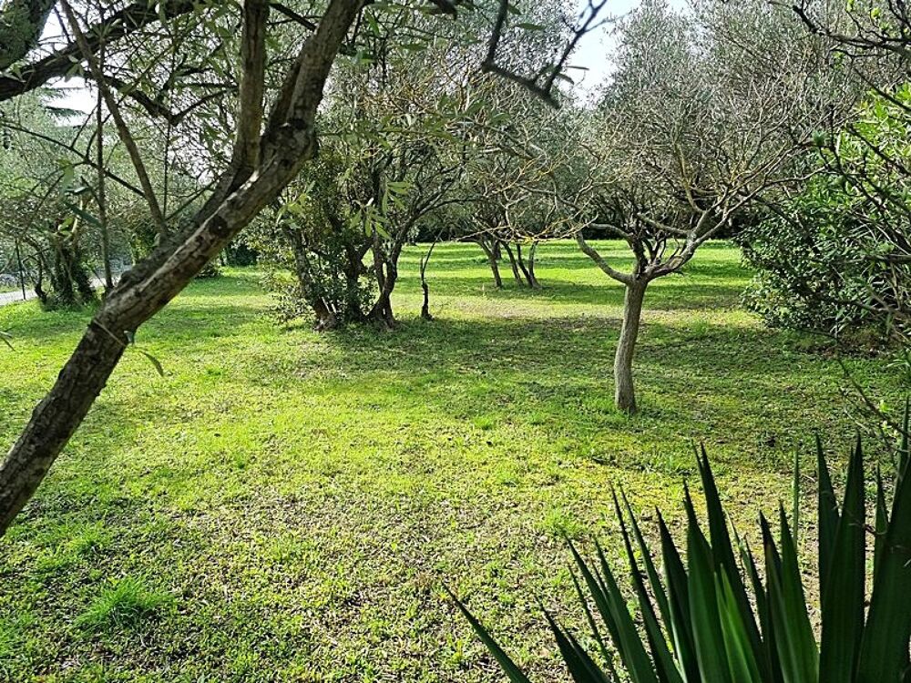 Vente Terrain Vente d'un terrain viabilisé de 740 m² sur les hauteurs de Villevieille -30250. Villevieille