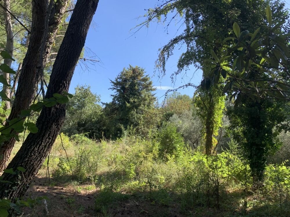 Vente Terrain Terrain Juvignac