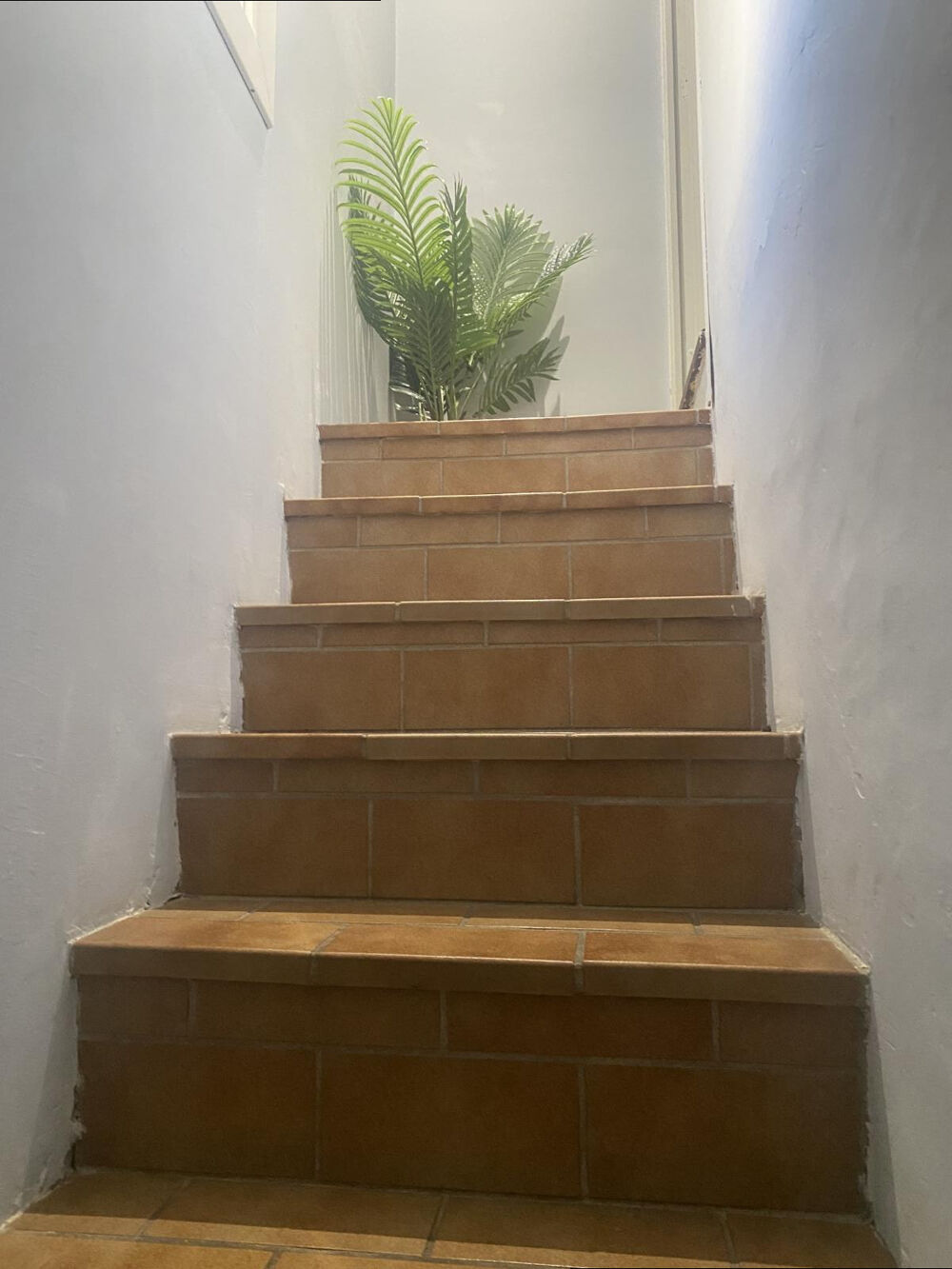 APPARTEMENT de Type P2