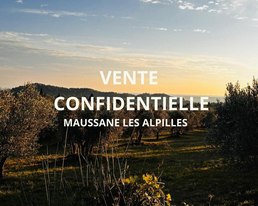 Vente Maison TERRAIN/Maison Maussane-les-alpilles