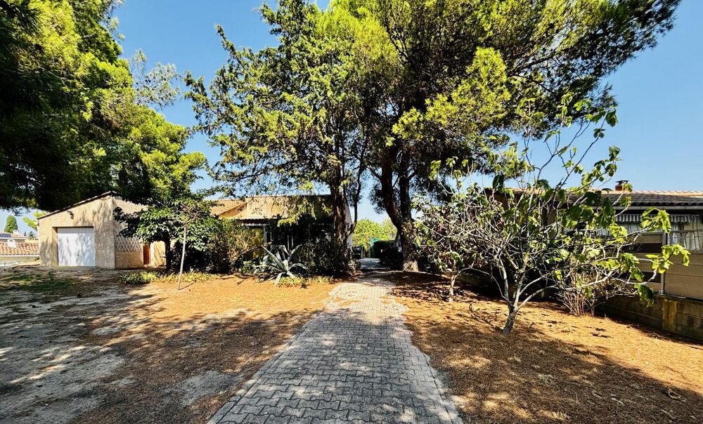 Vente Maison Maison T4 plain pied sur grand terrain arboré Poussan