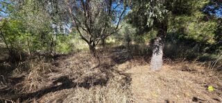  Terrain � vendre 640 m�