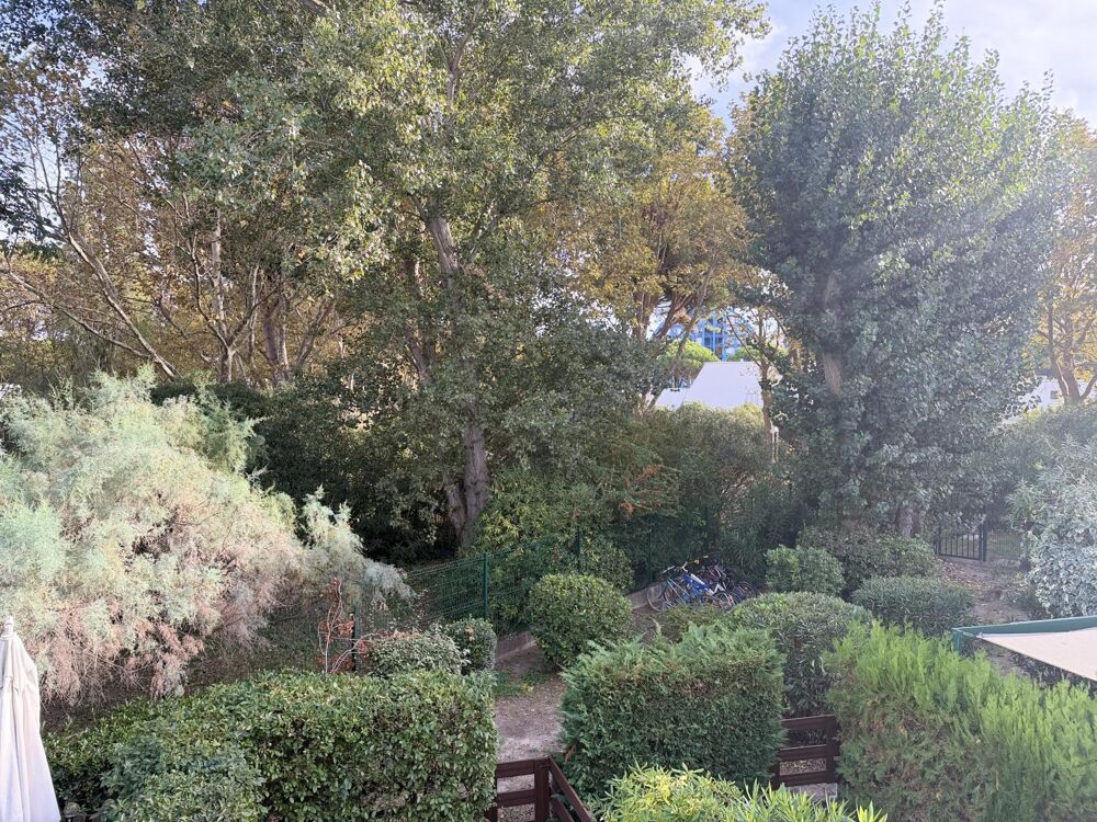 Vente Appartement La Grande Motte : Quartier prisé  : Studio meublé  avec vue sur la pinède, terrasse et parking La petite motte