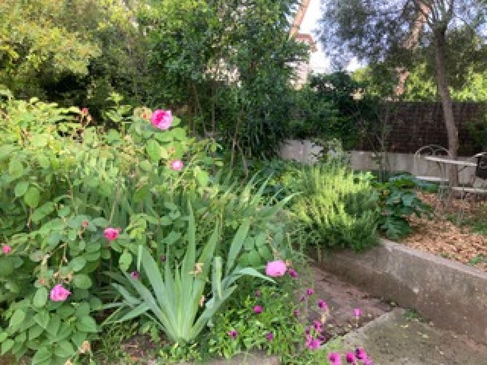 Vente Maison Sete maison de plain pied en viager occupé plein sud à mi hauteur sur le mont saint clair proche mer à pied dans un endroit calm Sete