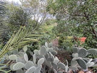  Maison � vendre 4 pi�ces 93 m�