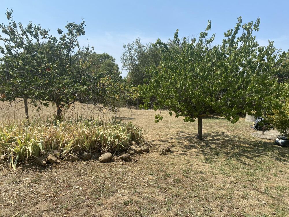 Vente Maison Viager libre une tete  femme gard St Christol les ales Saint-christol-les-ales