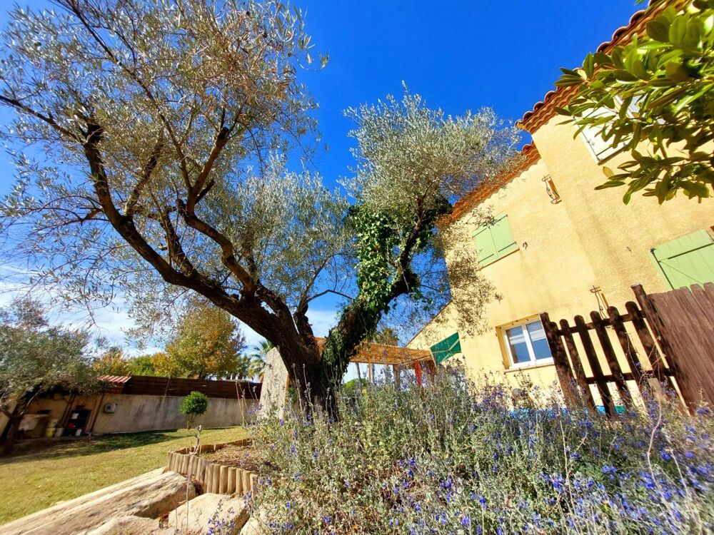 � vendre  Maison Villetelle (34400)