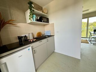  Appartement à louer 1 pièce 17 m²