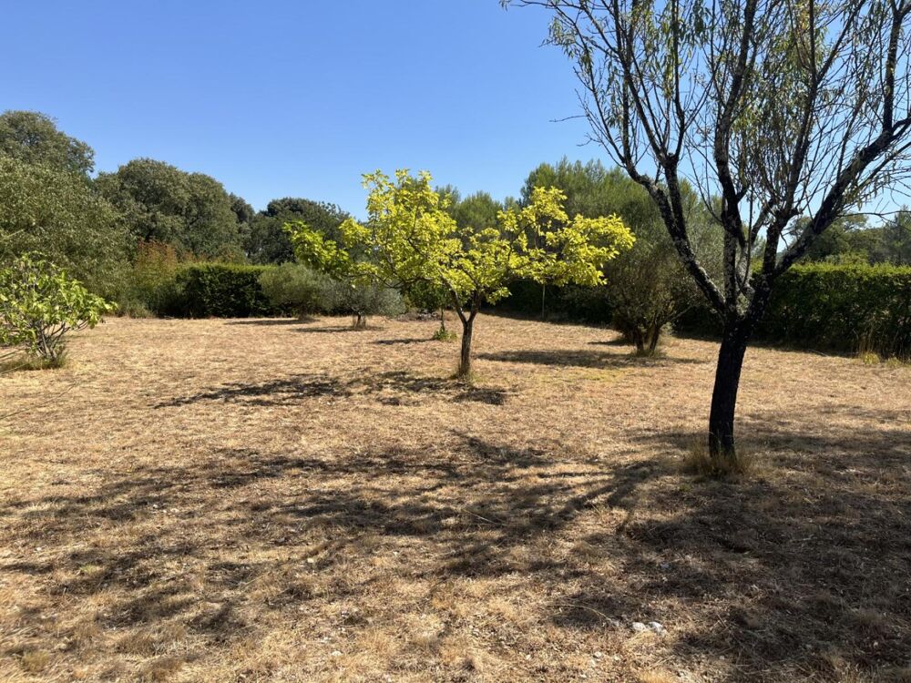 Vente Terrain Terrain constructible Ste Croix de Quintillargues 34270 Sainte-croix-de-quintillargues