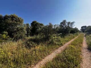  Terrain � vendre 7430 m�