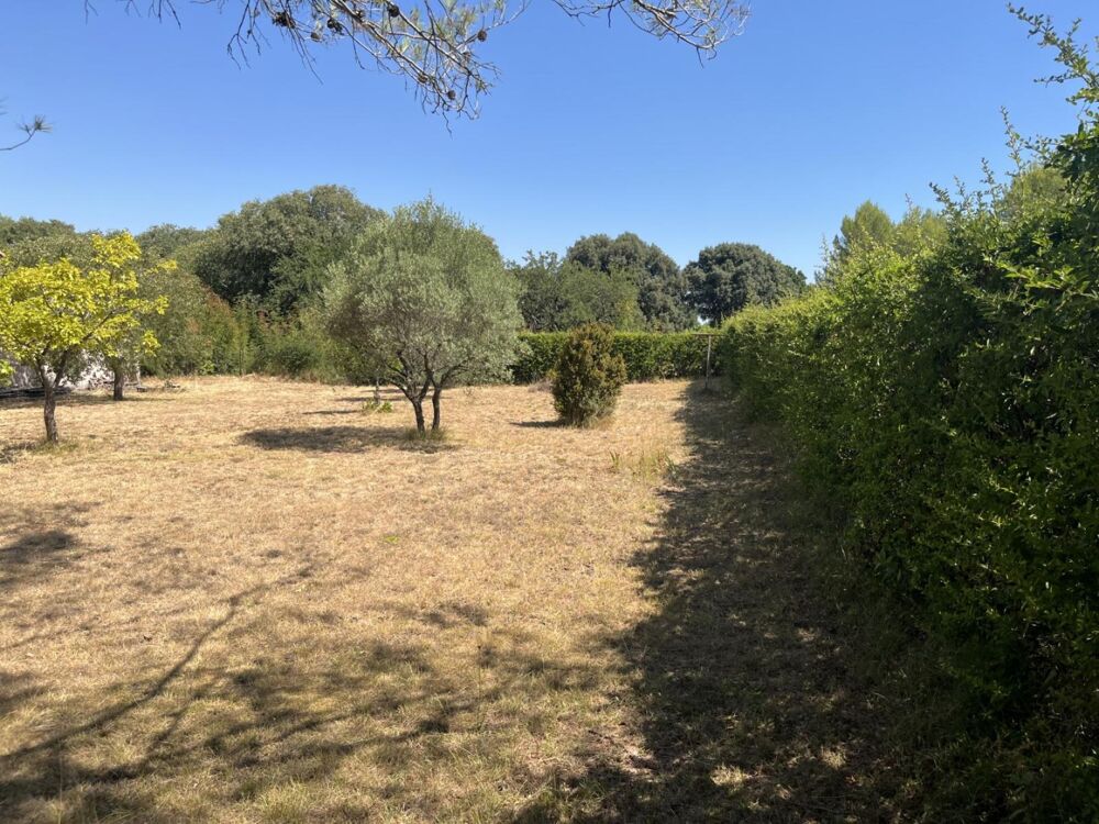 Vente Terrain Terrain constructible Ste Croix de Quintillargues 34270 Sainte-croix-de-quintillargues