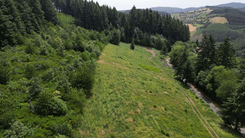 Vente Terrain Sur les hauteurs de Grandris, 5 parcelles de terrain Grandris