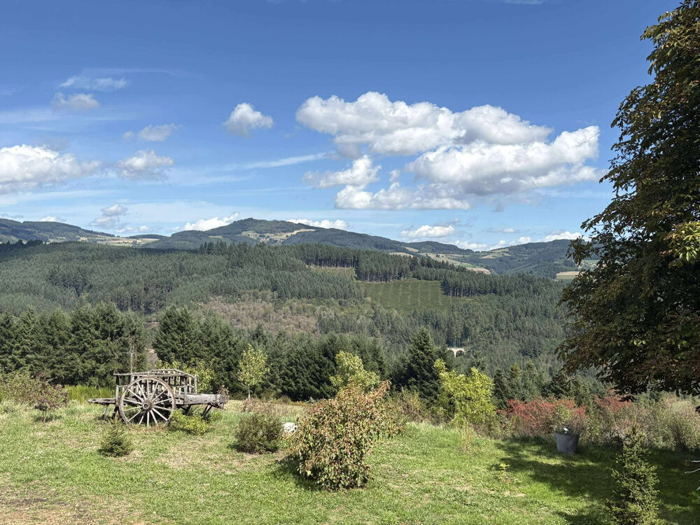 Vente Maison Maison de caractère sur les hauteurs de St Nizier d'Azergues sur + de 3000m2 de terrain. St nizier d azergues