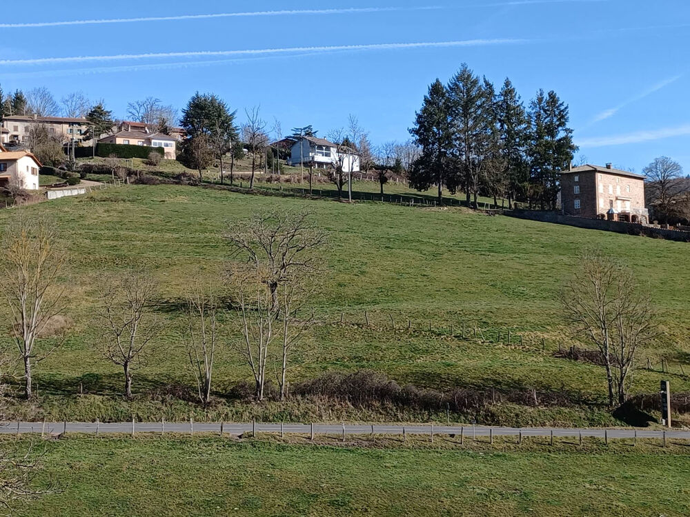 Vente Terrain Centre Grandris, proche du village. Parcelle de 26003m2 dont 13 000m2 constructible Grandris