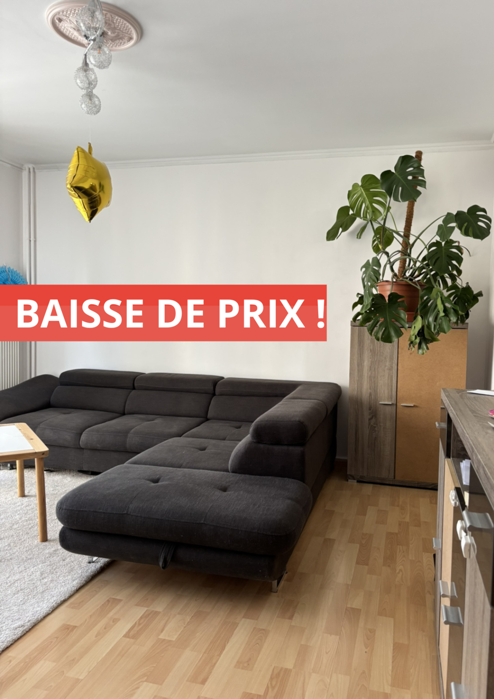 Bel appartement lumineux à Illzach