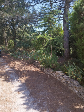  Appartement � louer 2 pi�ces 35 m�