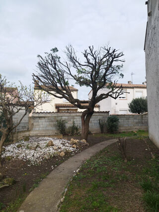  Maison � louer 5 pi�ces 81 m�