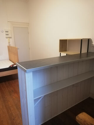  Appartement à louer 1 pièce 24 m²