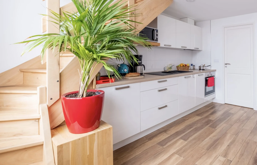  vendre  Proprit/chteau Lyon 8