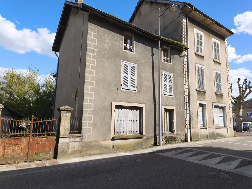 Vente Immeuble Immeuble de rapport à rénover Plein cœur de ville  Renage Renage
