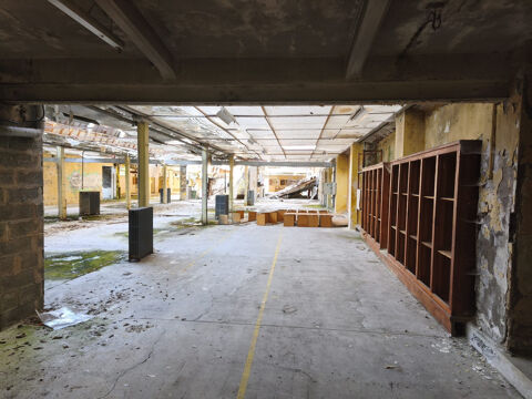   Ensemble immobilier 6 000 m2 à réhabiliter   Cœur de bourg, sortie A51 