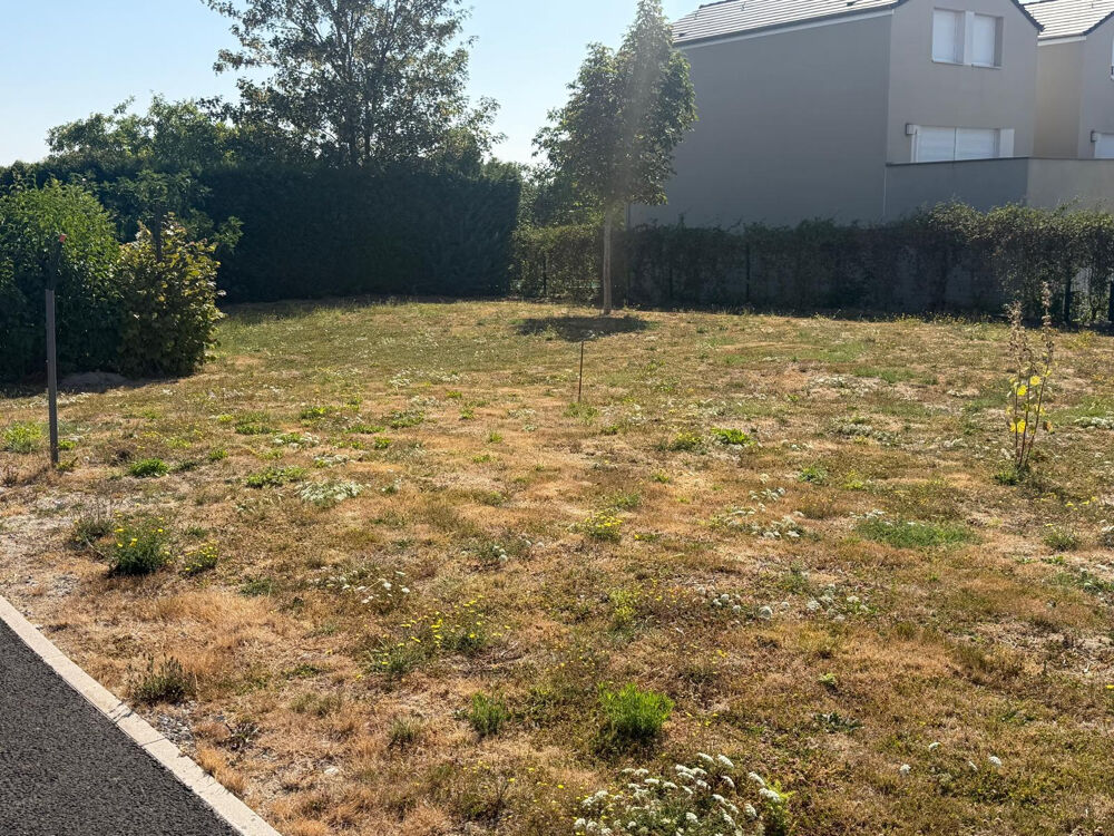 Vente Terrain Terrain à bâtir  - 561 m2 à Witry les Reims Reims