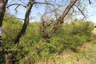  Terrain à vendre 963 m²