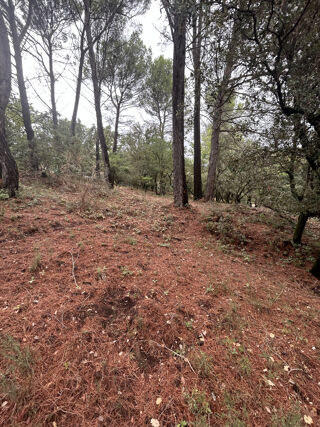  Terrain à vendre 1000 m²