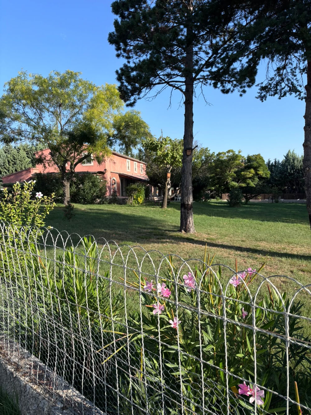 à vendre  Maison Gargas (84400)