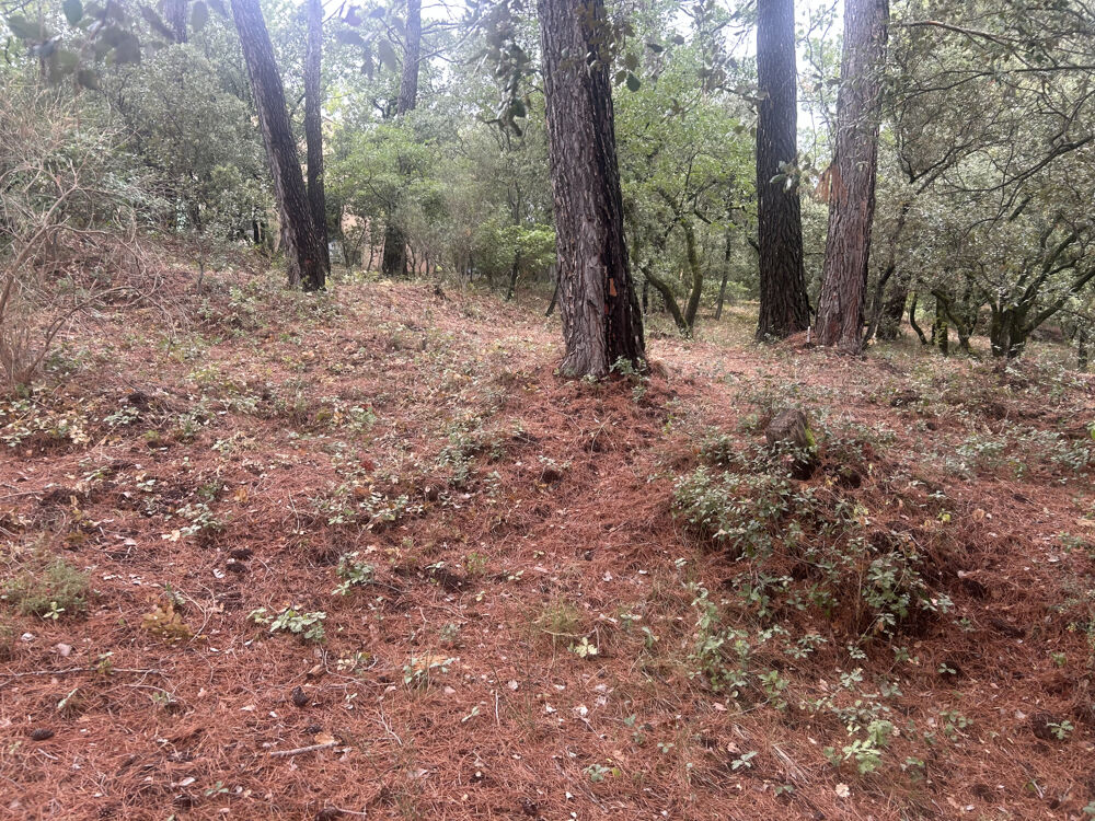 Vente Terrain Luberon St-Saturnin les Apt, belle parcelle de terrain de 1000 m2 St saturnin les apt