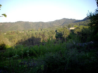  Terrain  vendre 1365 m