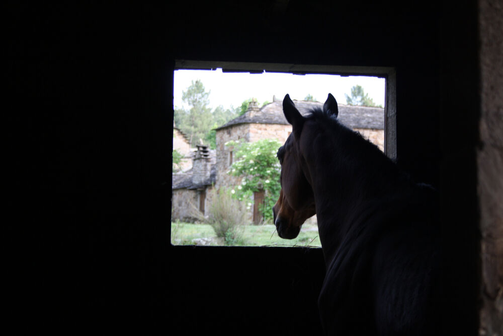 � vendre  Maison Bess�ges (30160)