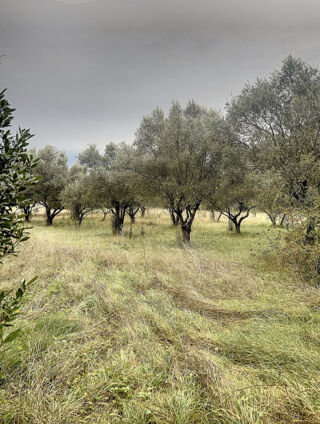  Terrain  vendre 324 m