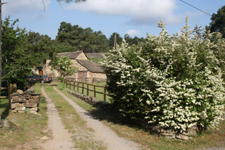  Maison � vendre 15 + pi�ces 269 m�