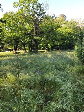  Terrain � vendre 1 pi�ce 753 m�