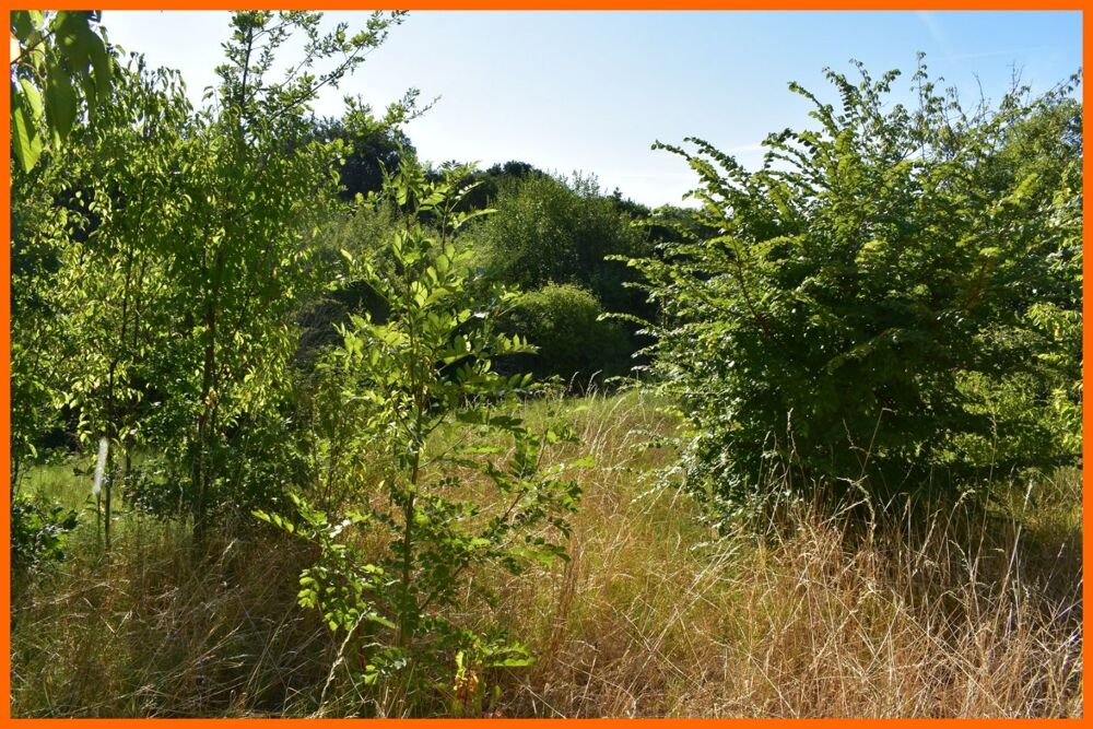 Vente Terrain Terrain Montluel