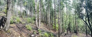  Terrain � vendre 1 pi�ce 16280 m�