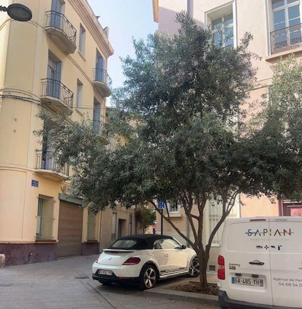 Vente Appartement 3 Pièces avec locataire Perpignan