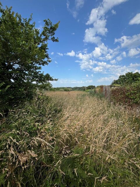   Maison Construction moderne ossature bois Maison - 6 pi�ce(s) - 125 m�