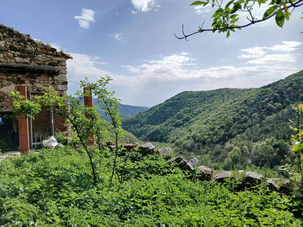 Vente Terrain Terrain Avec ruine à rénover Corsavy