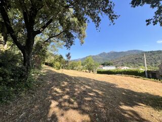  Terrain à vendre 1 pièce 36 m²